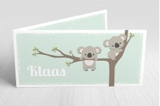 Schattige koalabeertjes Schattige koalabeertjes